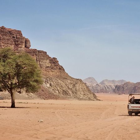 Wadi Rum Desert Heart Camp Eksteriør billede
