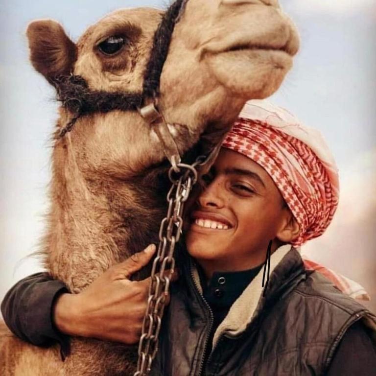 Wadi Rum Desert Heart Camp Eksteriør billede