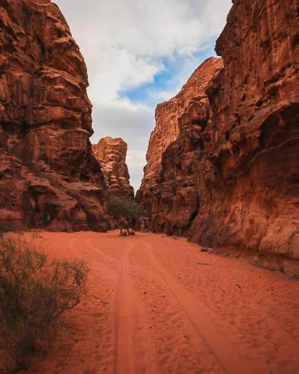 Wadi Rum Desert Heart Camp Eksteriør billede