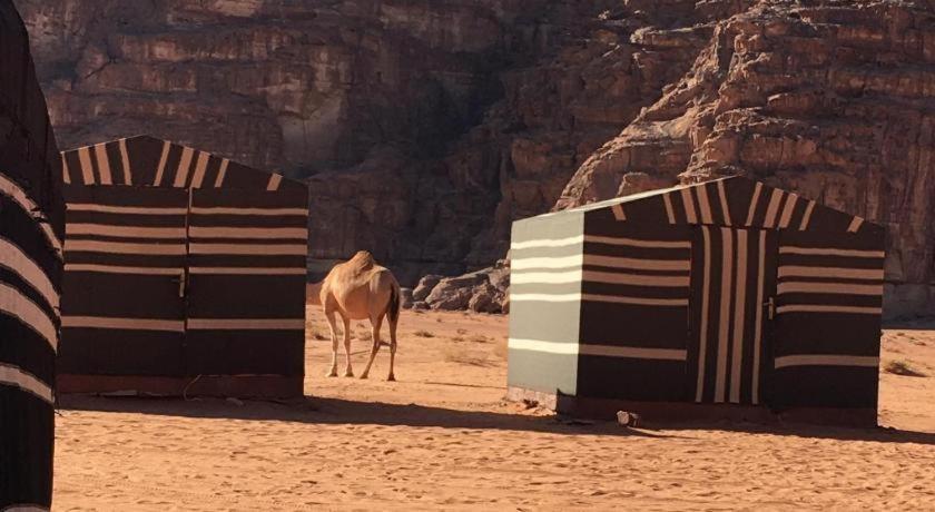 Wadi Rum Desert Heart Camp Eksteriør billede