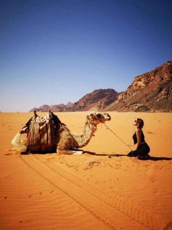 Wadi Rum Desert Heart Camp Eksteriør billede