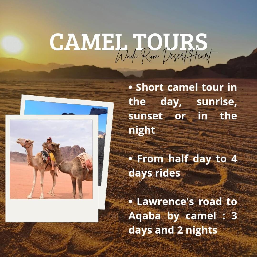 Wadi Rum Desert Heart Camp Eksteriør billede